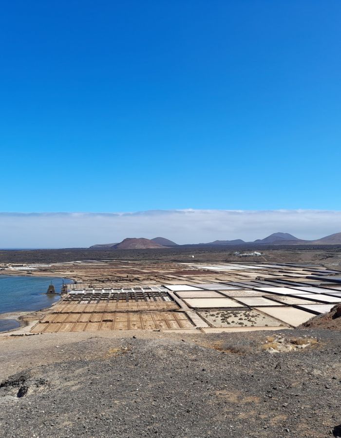 Marais salants et paysage volcanique en bord d'océan aux Îles Canaries